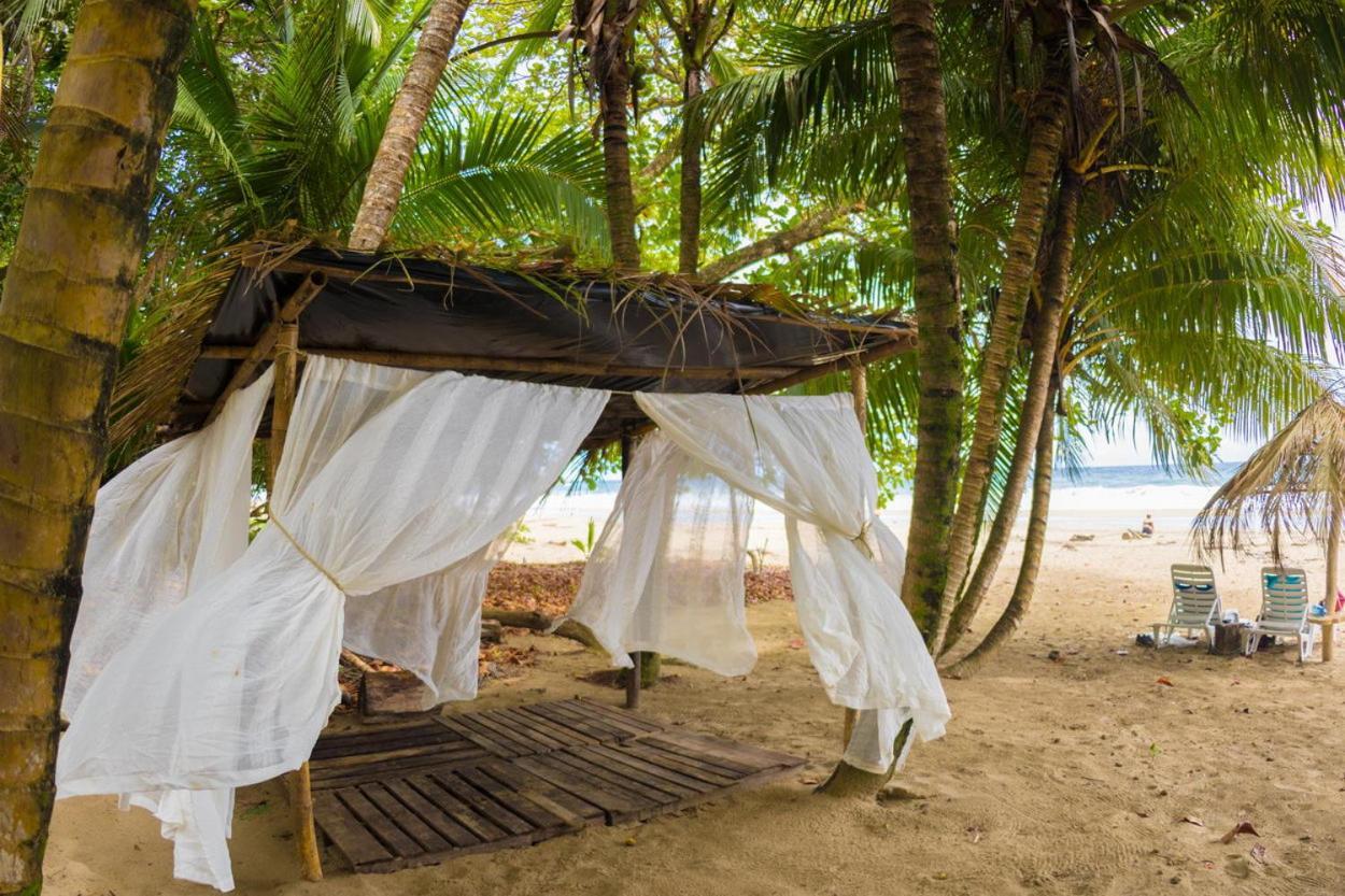 Playa 506 Beachfront Hostel Puerto Viejo de Talamanca Eksteriør billede