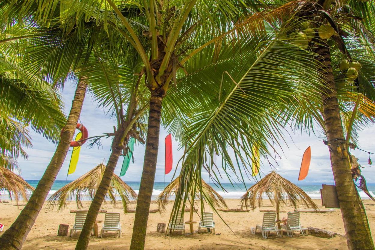 Playa 506 Beachfront Hostel Puerto Viejo de Talamanca Eksteriør billede