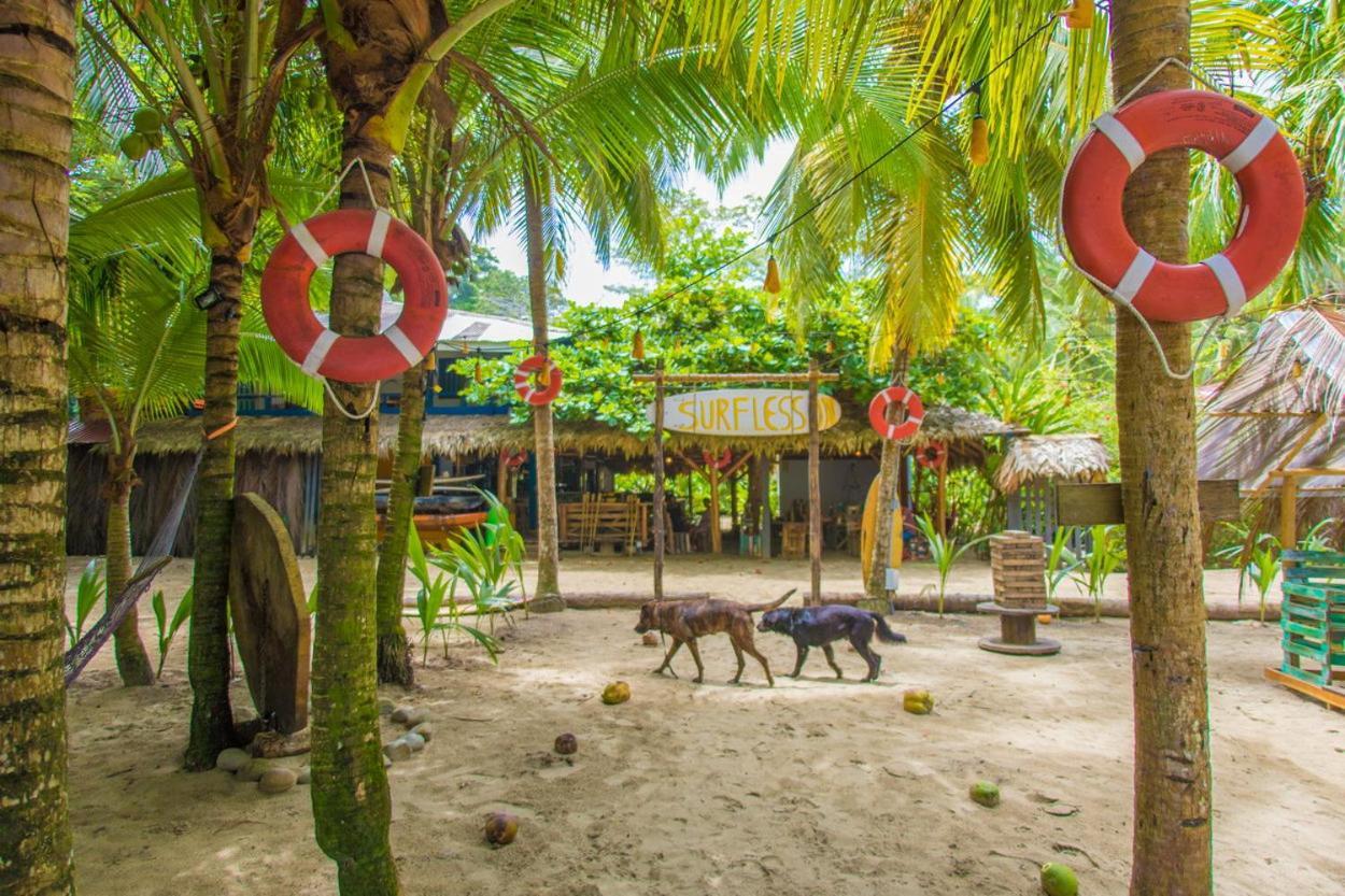 Playa 506 Beachfront Hostel Puerto Viejo de Talamanca Eksteriør billede