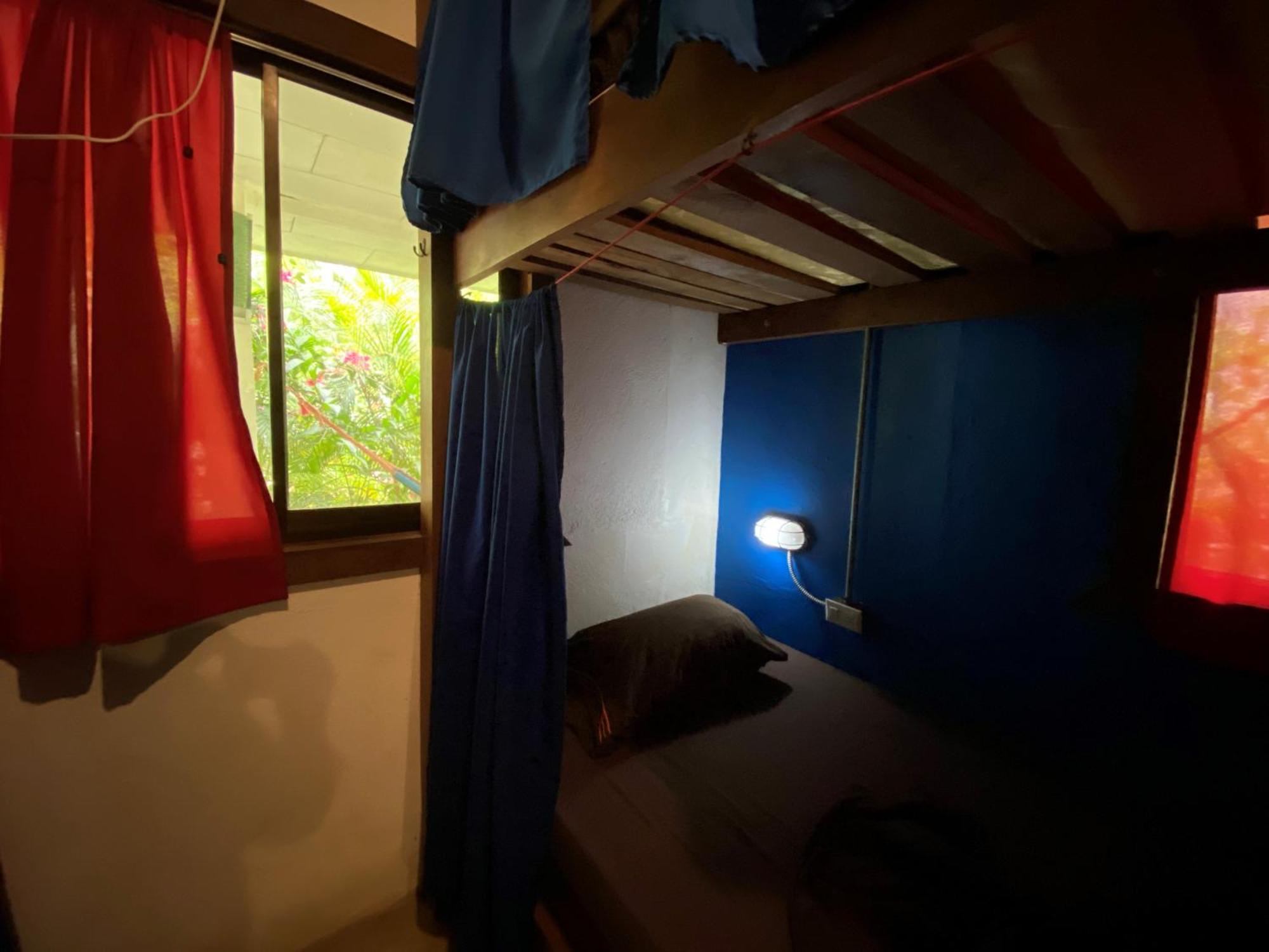 Playa 506 Beachfront Hostel Puerto Viejo de Talamanca Værelse billede