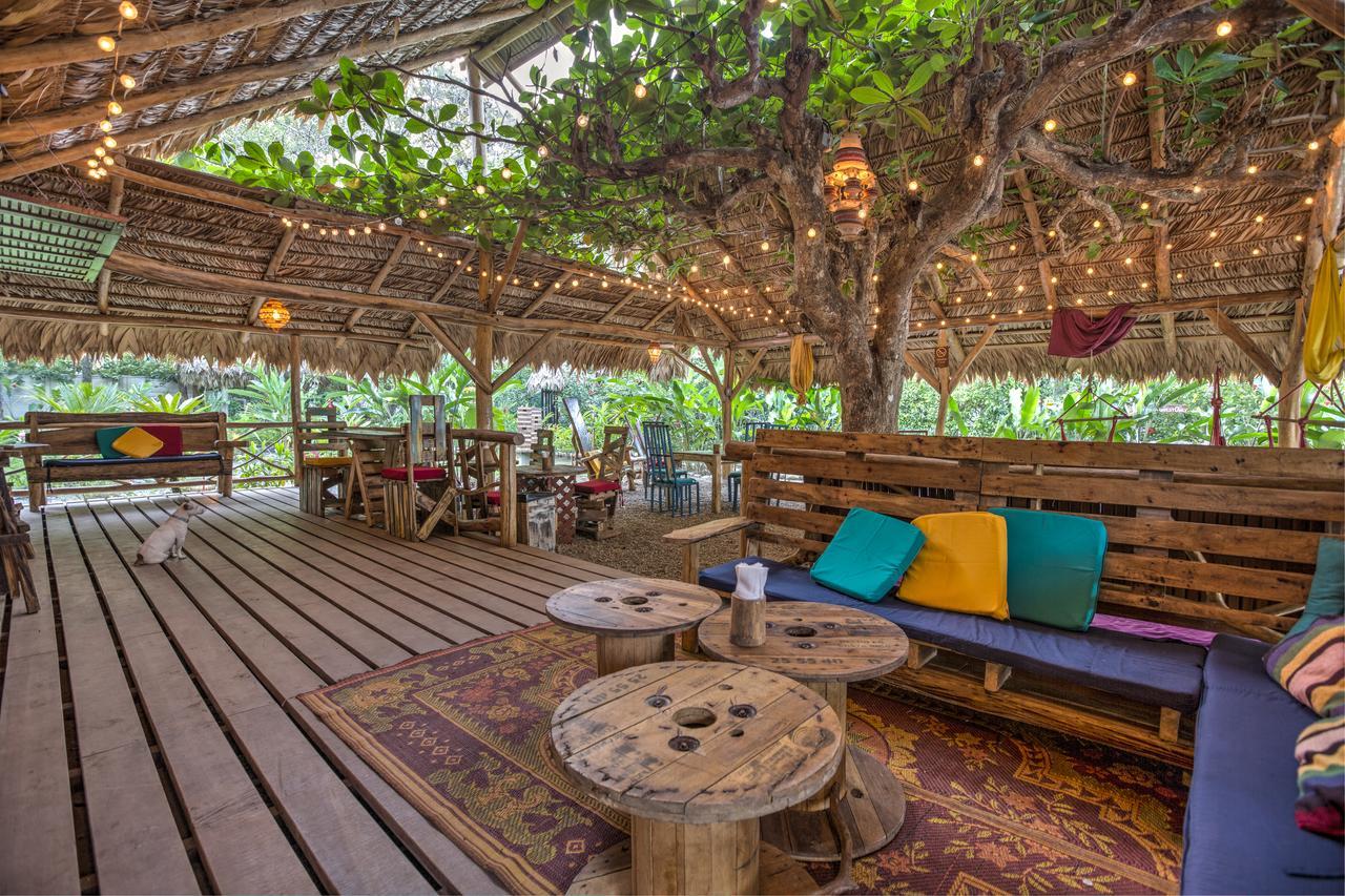 Playa 506 Beachfront Hostel Puerto Viejo de Talamanca Eksteriør billede