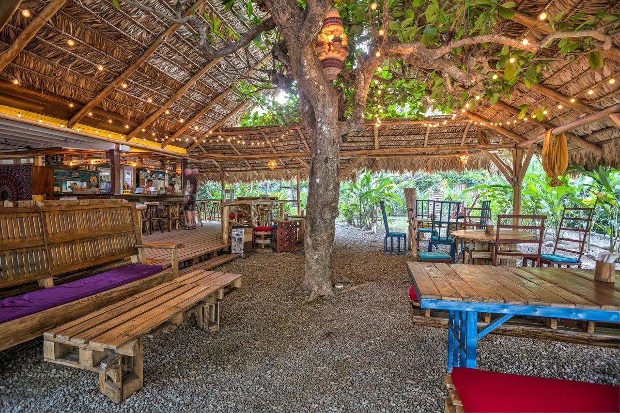 Playa 506 Beachfront Hostel Puerto Viejo de Talamanca Eksteriør billede