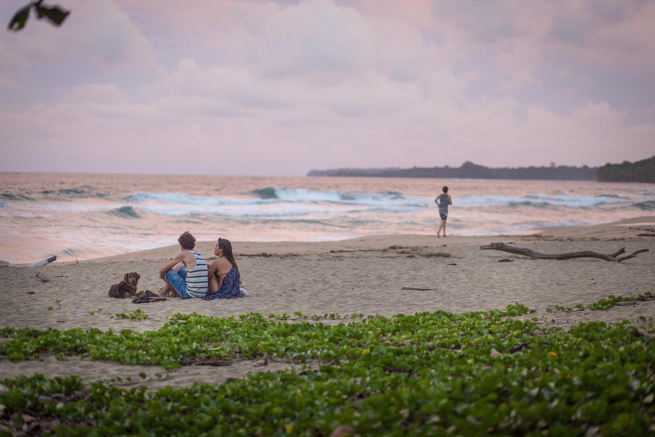Playa 506 Beachfront Hostel Puerto Viejo de Talamanca Eksteriør billede