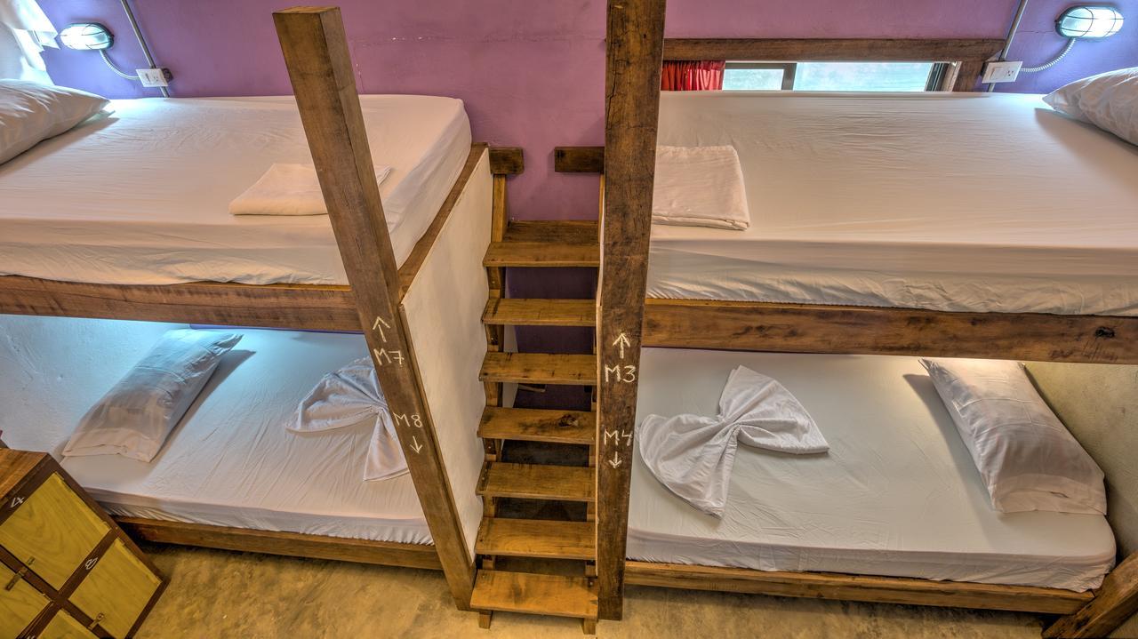 Playa 506 Beachfront Hostel Puerto Viejo de Talamanca Eksteriør billede