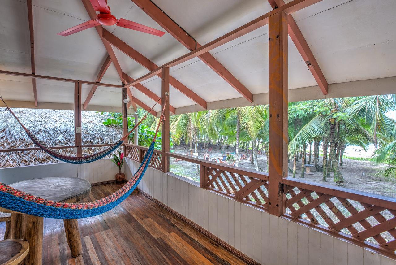 Playa 506 Beachfront Hostel Puerto Viejo de Talamanca Eksteriør billede