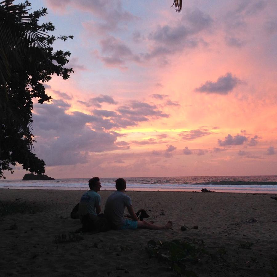 Playa 506 Beachfront Hostel Puerto Viejo de Talamanca Eksteriør billede