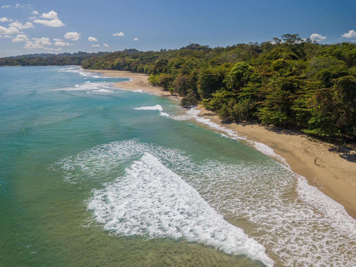 Playa 506 Beachfront Hostel Puerto Viejo de Talamanca Eksteriør billede
